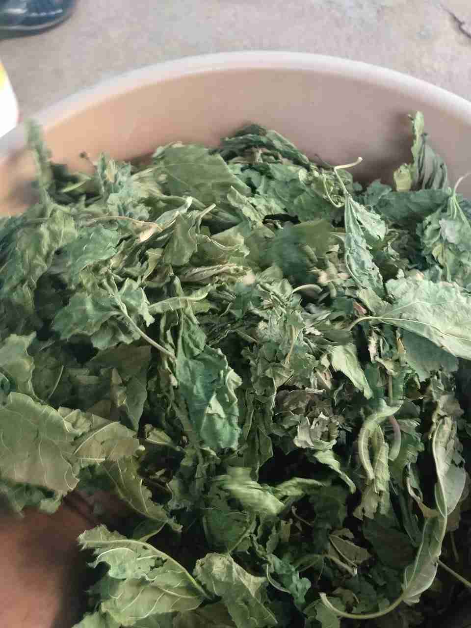 Mulberry Leaves