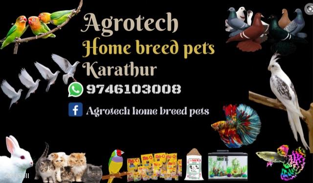 Agrotech home breed pets  - Cover Image