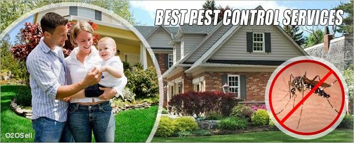 AMERICAN PEST CONTROL  - Cover Image