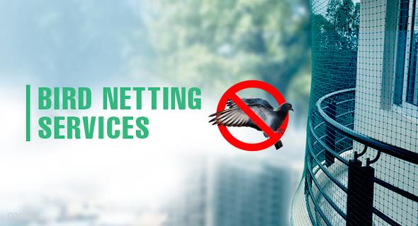 Bird net solution  - Cover Image