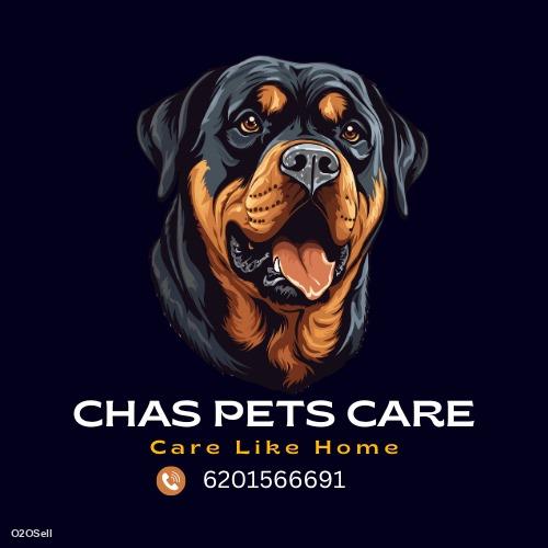 Chas pets store  - Cover Image