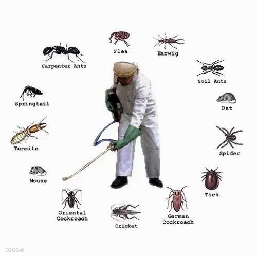 Indian Pest Control Service  - Cover Image