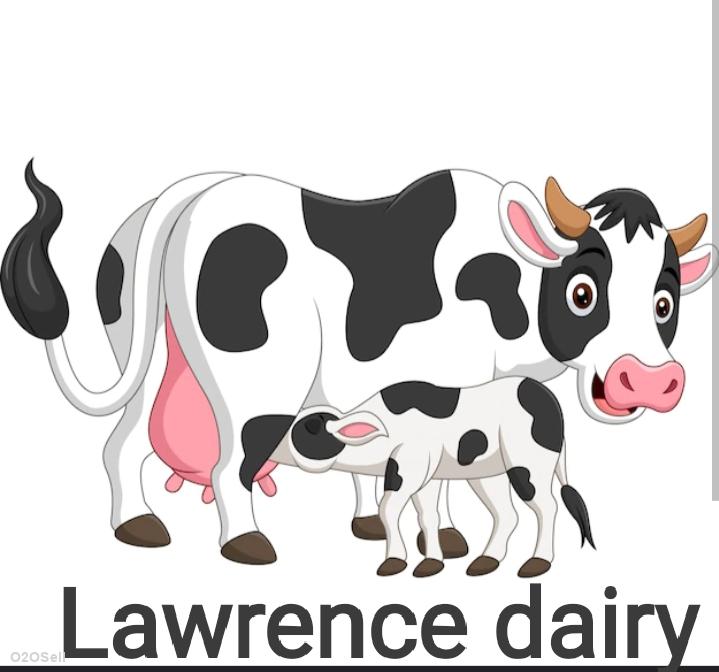 Lawrence dairy - Cover Image