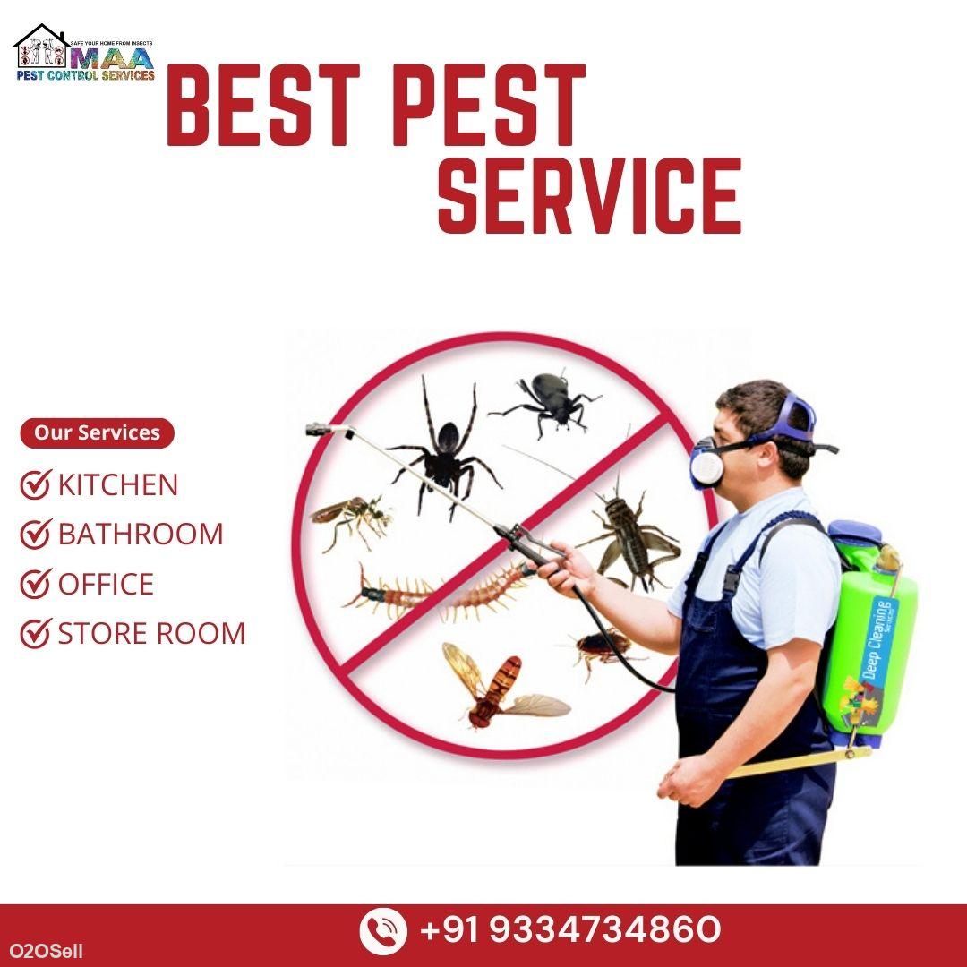 Maa Pest Control service - Cover Image