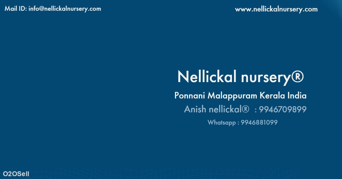 Nellickal nursery®  - Cover Image