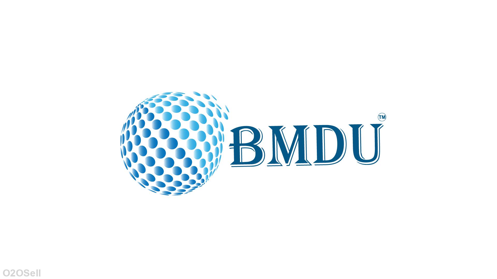 B M Digital Utilization LLP - Profile Image