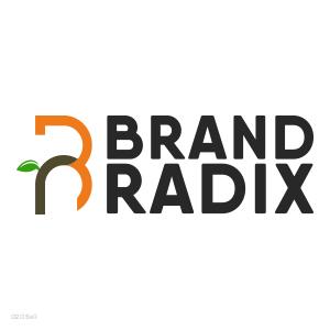 Brand Radix - Graphic and Website Designing Company - Profile Image