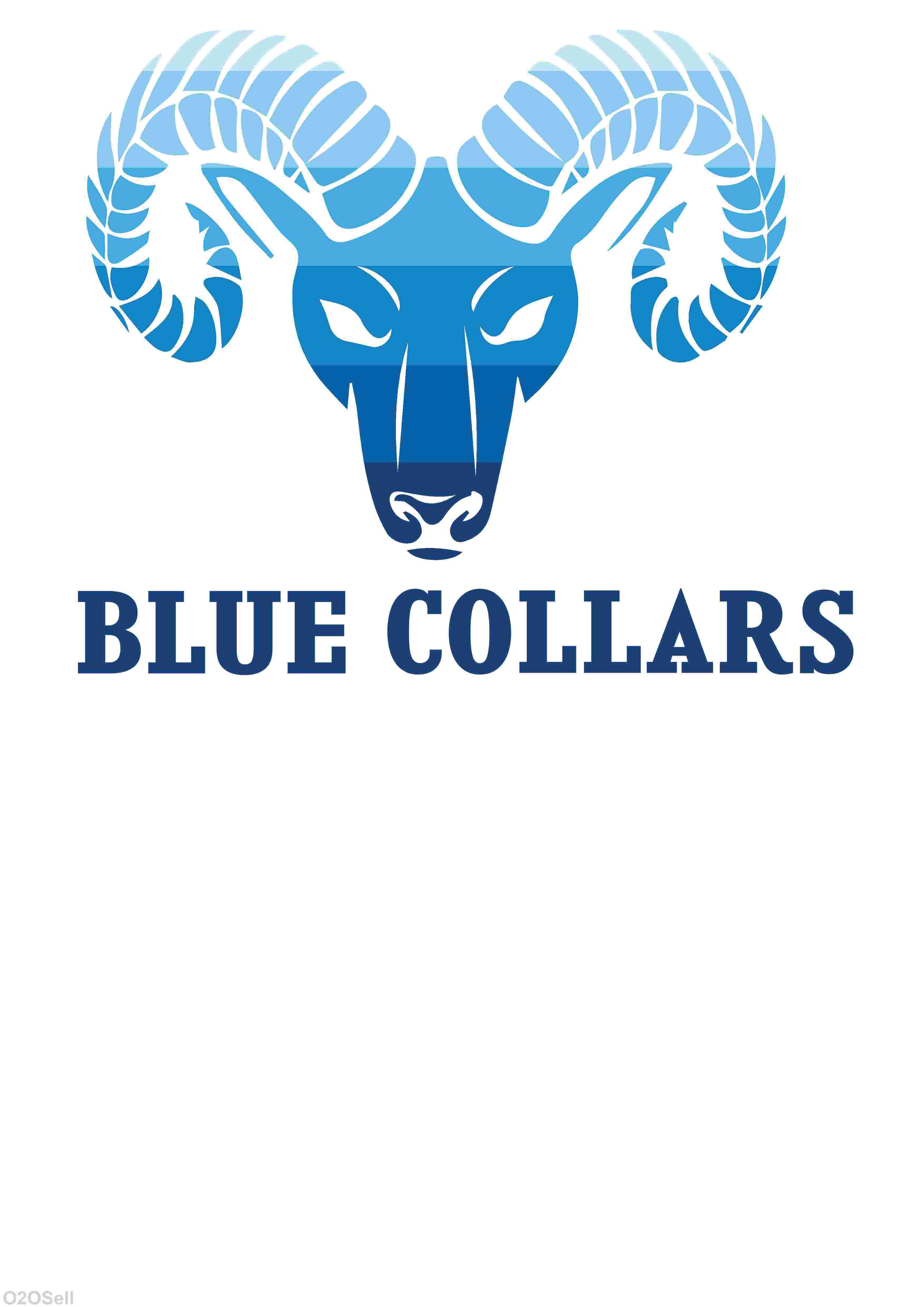 Blue Collars Fashion And Retail H.R COMPLEX, SHOP N0107, FIRST FLOOR