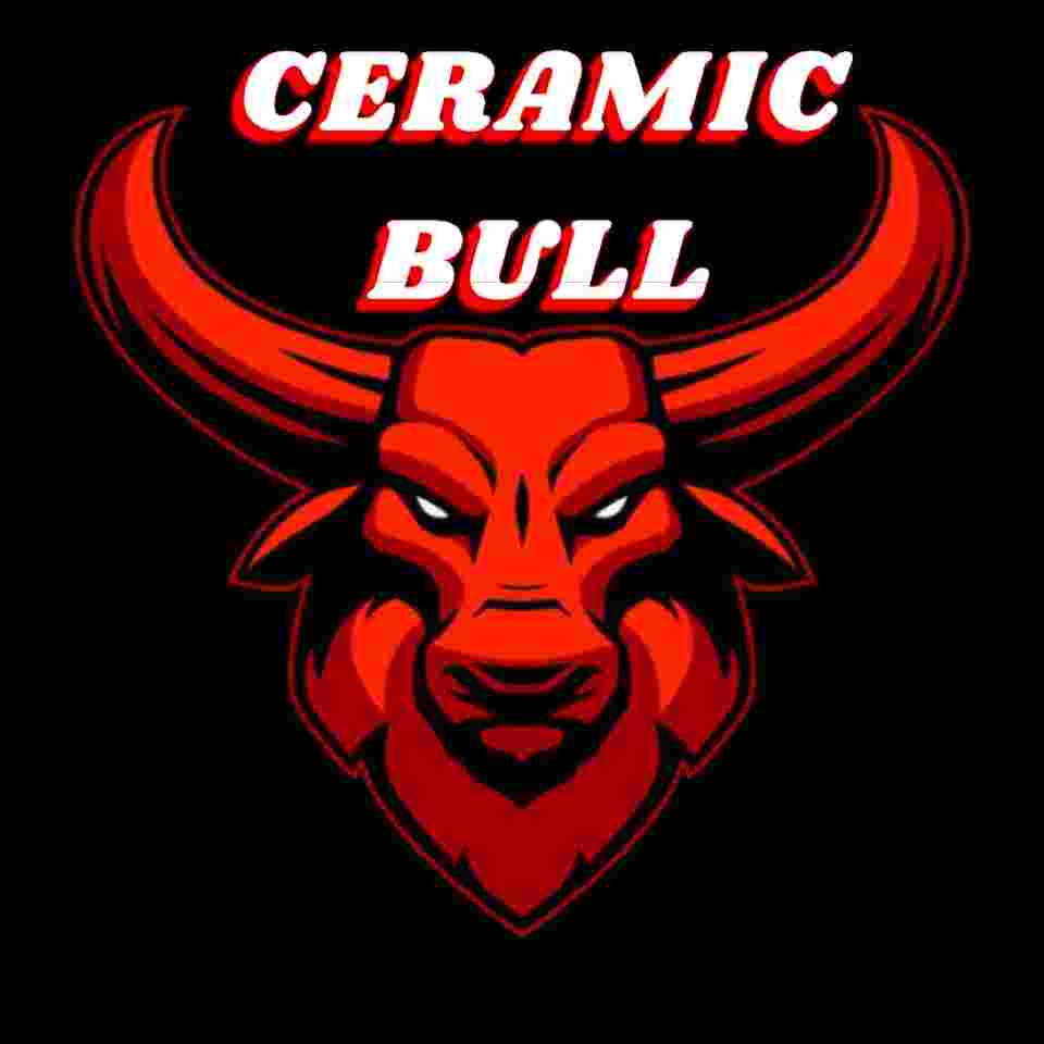 CERAMIC BULL BHOPAL