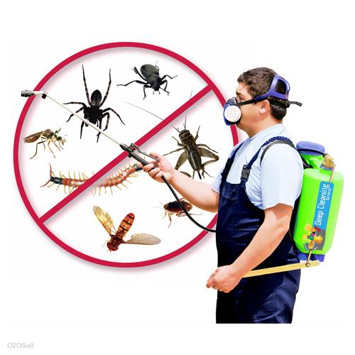 Indian Pest Control Service  - Profile Image