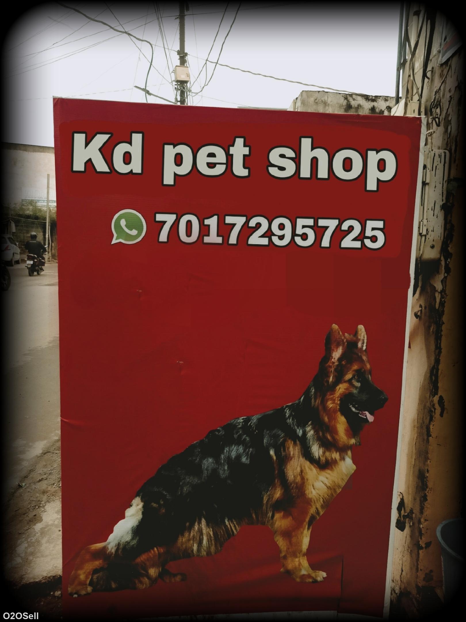 Kd pet shop agra - Profile Image