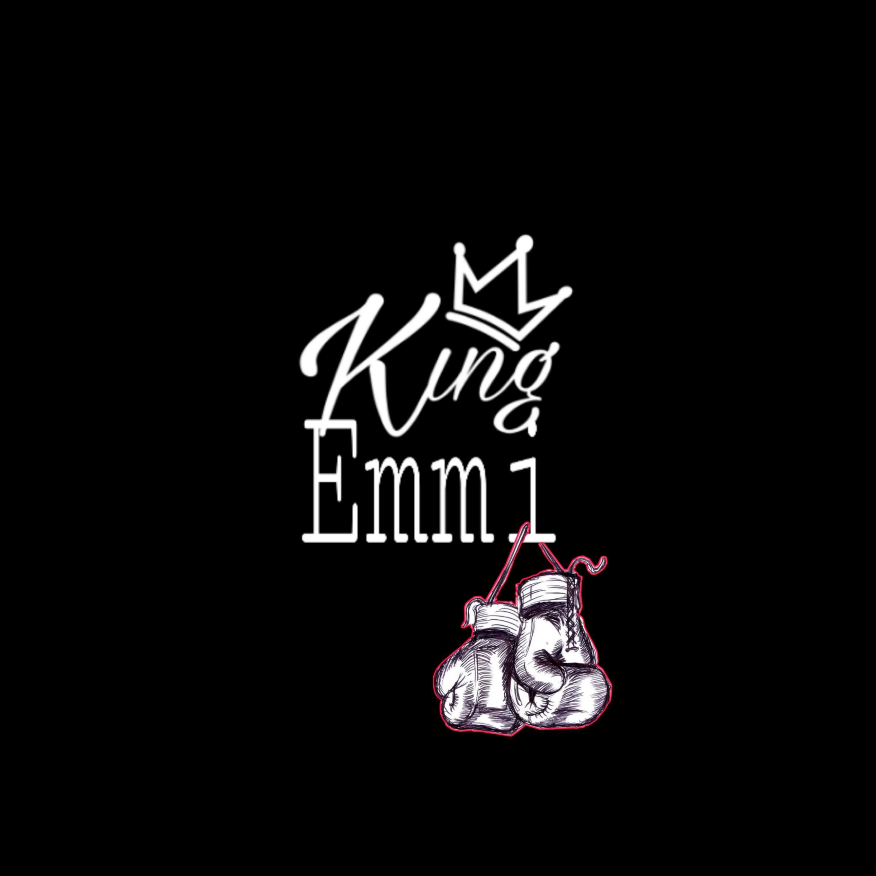 King Emmi Fit and fight Boxing Center - Profile Image