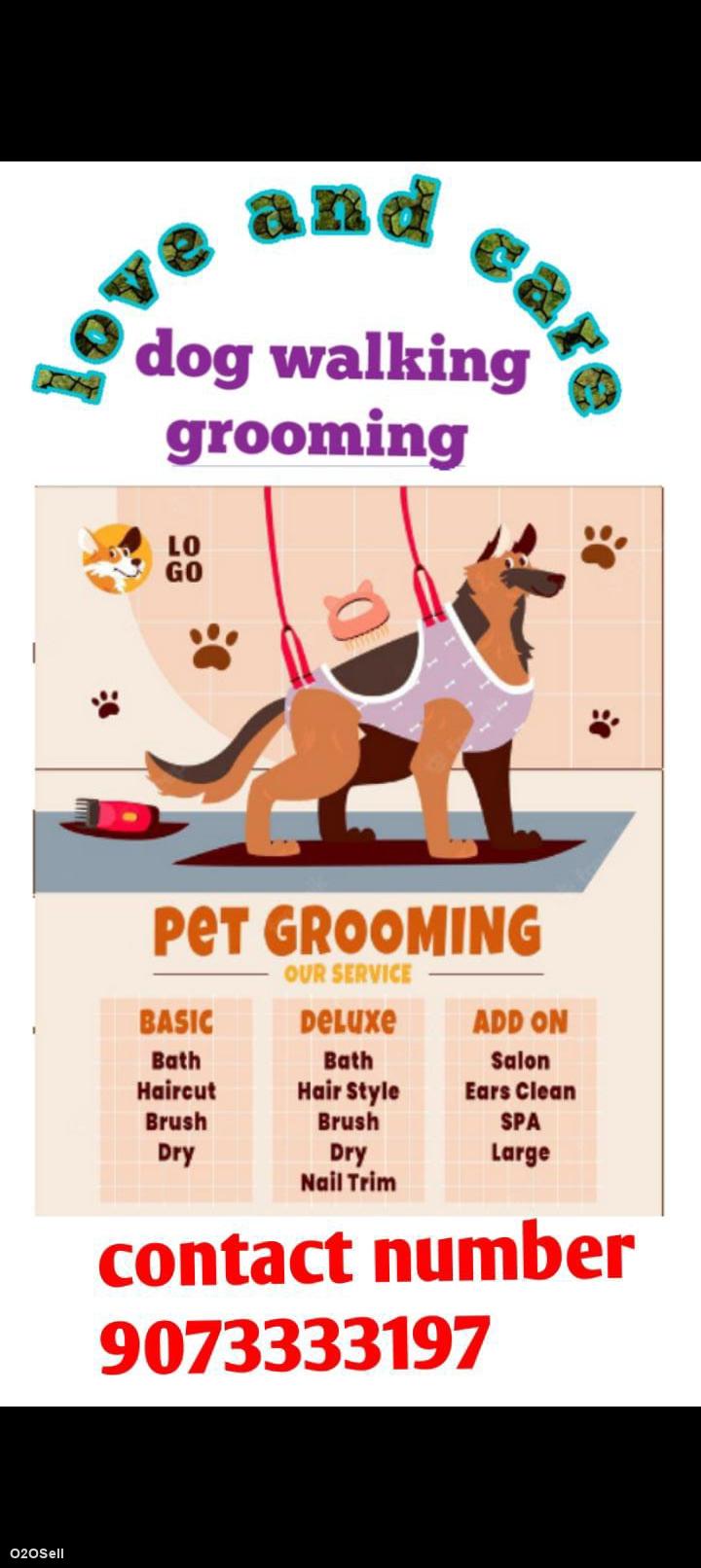 Love and care dog walking grooming and boarding  - Profile Image