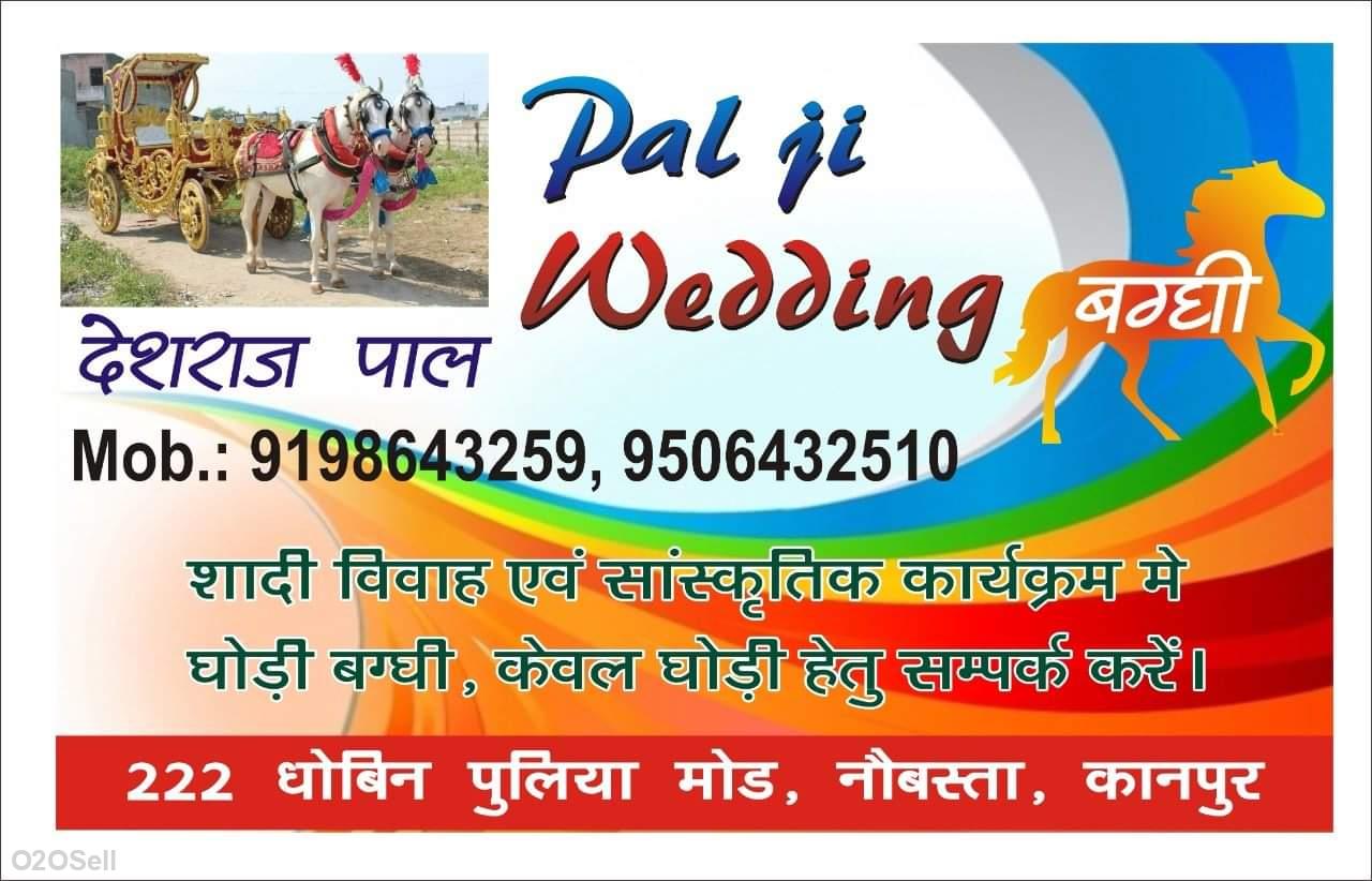 Pal ji ghodi baggi vale - Profile Image
