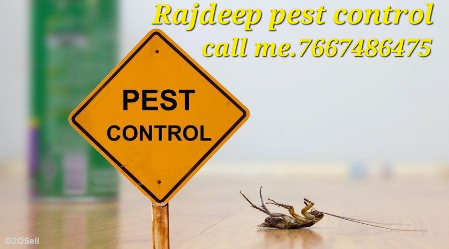 Rajdeep pest control - Profile Image