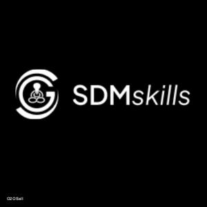 SDMskills digital marketing institute in Hisar - Profile Image