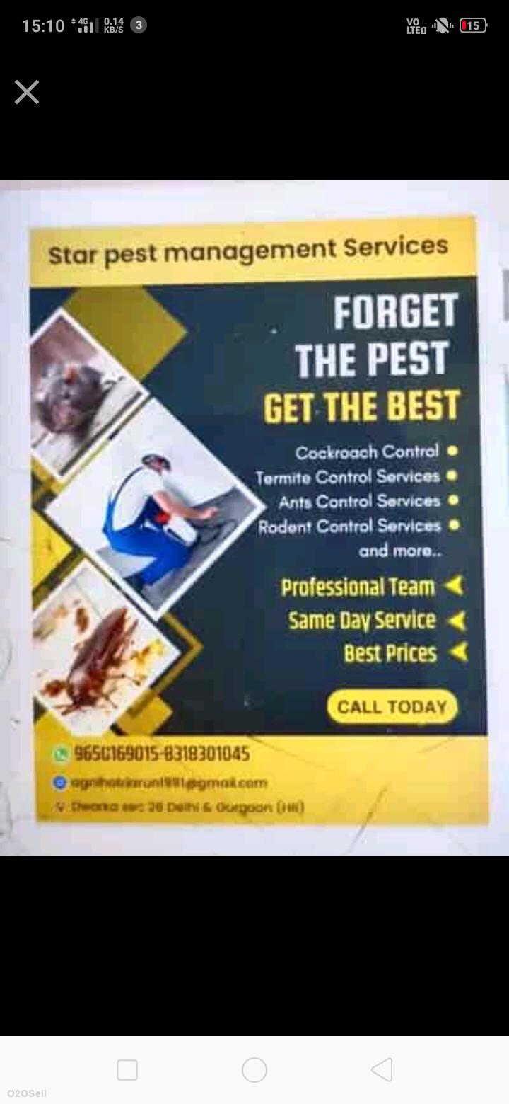 Star pest management Services  - Profile Image